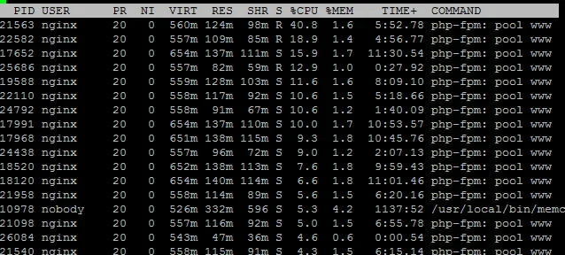 users.webp